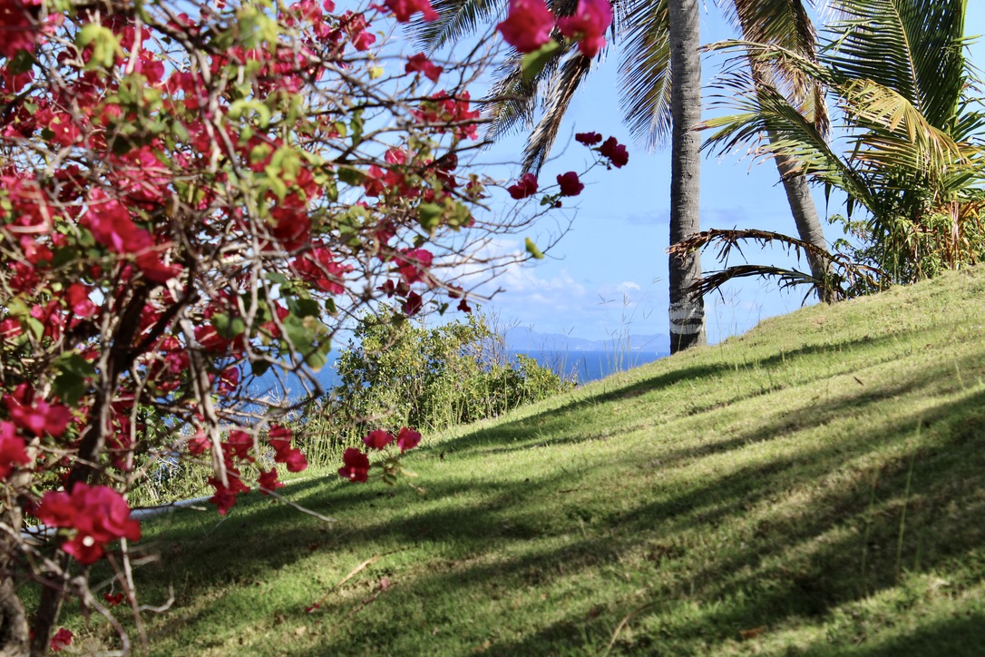 Saline Point, Cap Estate, Gros Islet, St Lucia