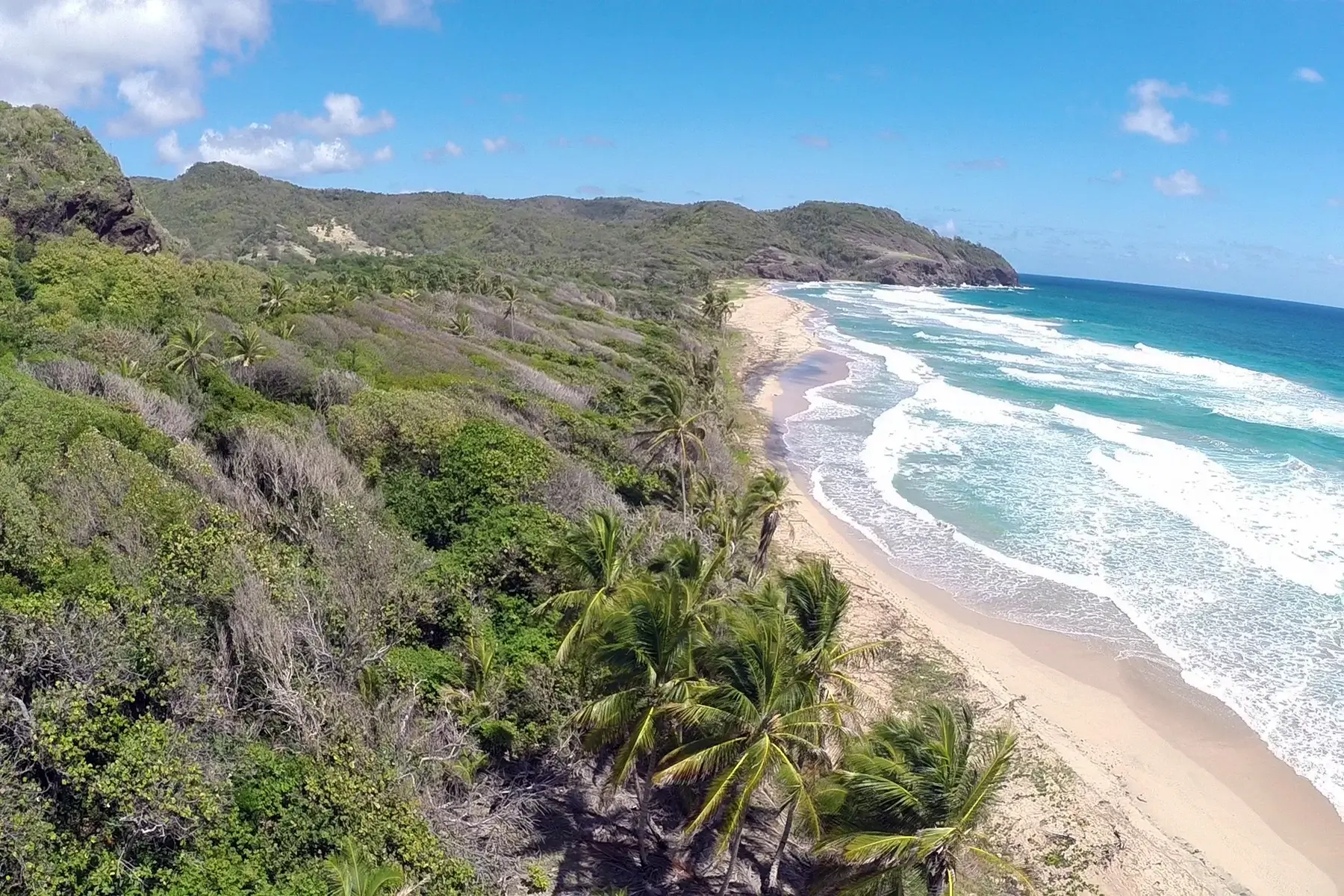 Grand Anse, Louvet, Dauphin, Saint Lucia