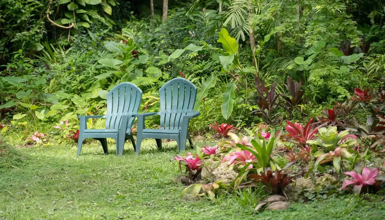The Flower Forest, St. Thomas, Barbados